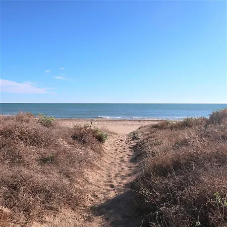 Primerisima Lines De Playa Ap10 * 普拉亚西拉科